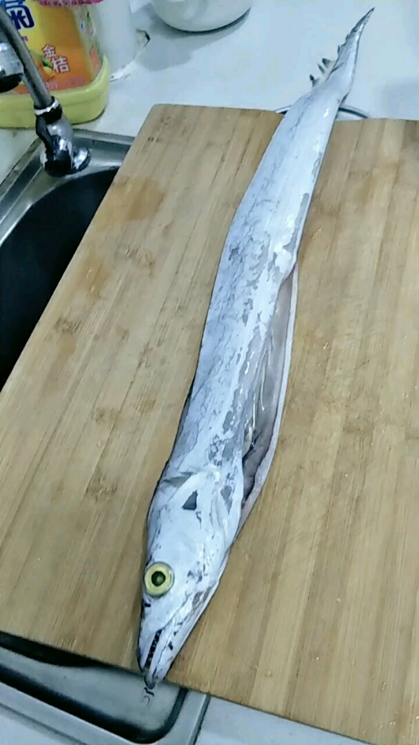 给诺宝买了一条大带鱼