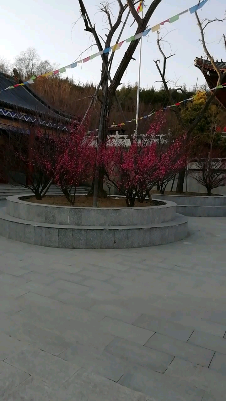 江苏艾山铁佛寺