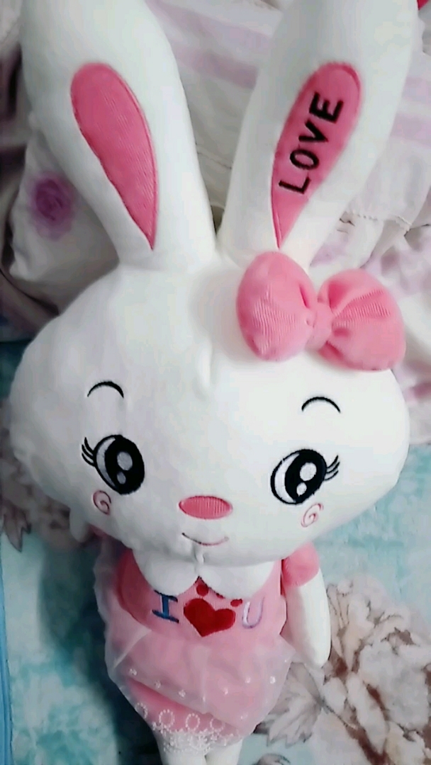 可爱( . )小粉兔