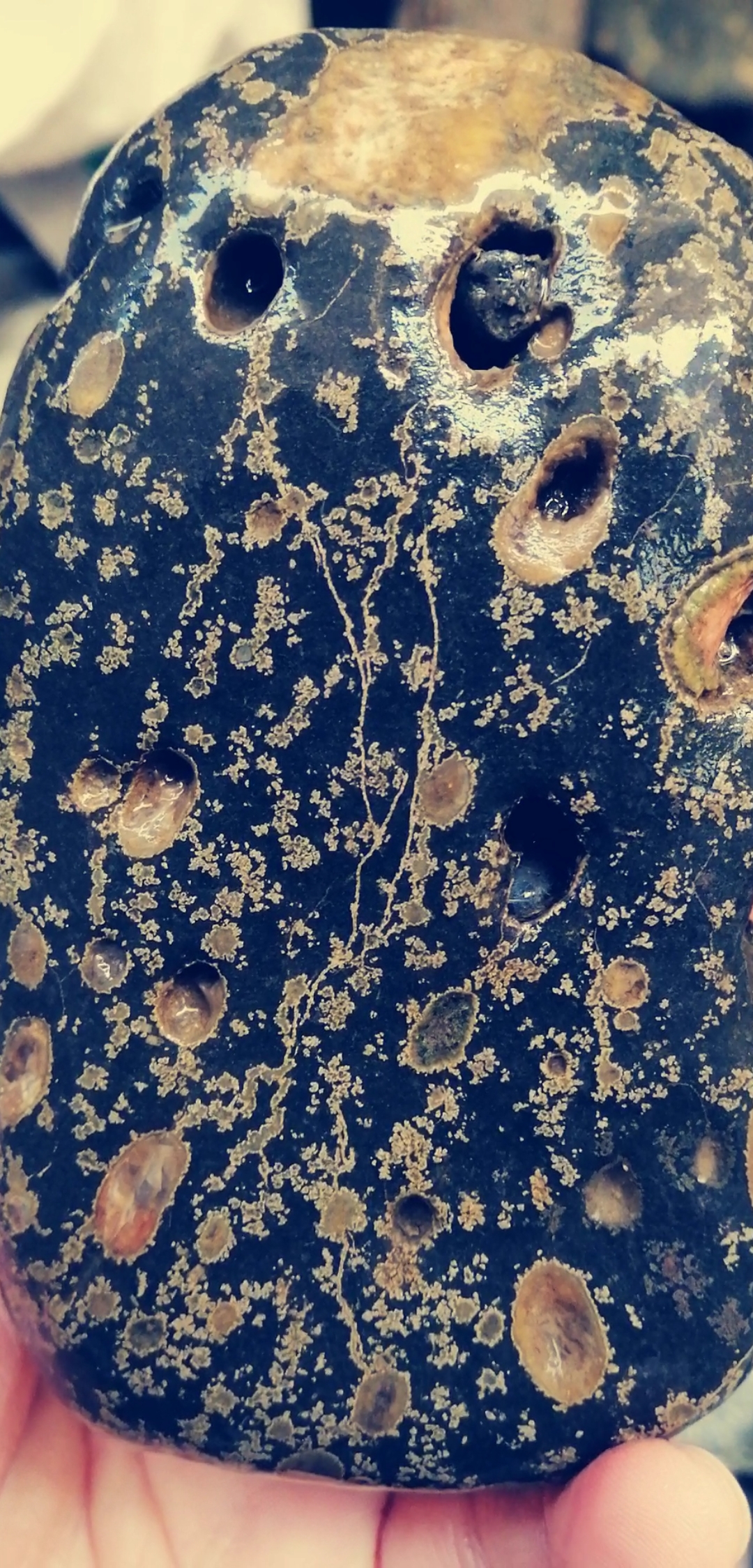 带上全民去旅行#千载难遇的石头之蚕丝梅花玉