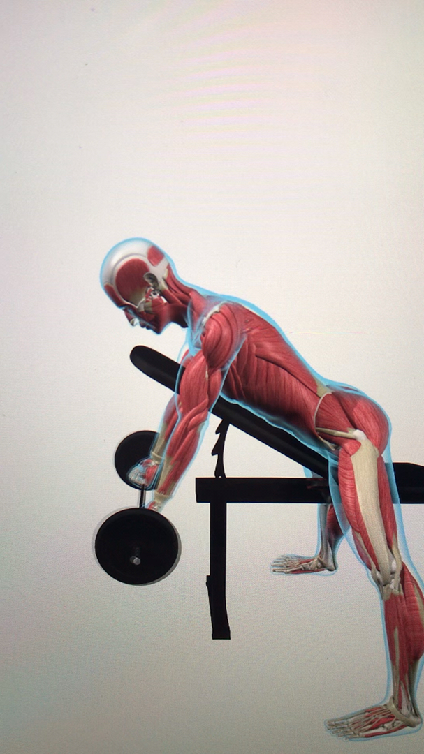 健身#上斜杠铃弯举,锻炼肱二头肌!