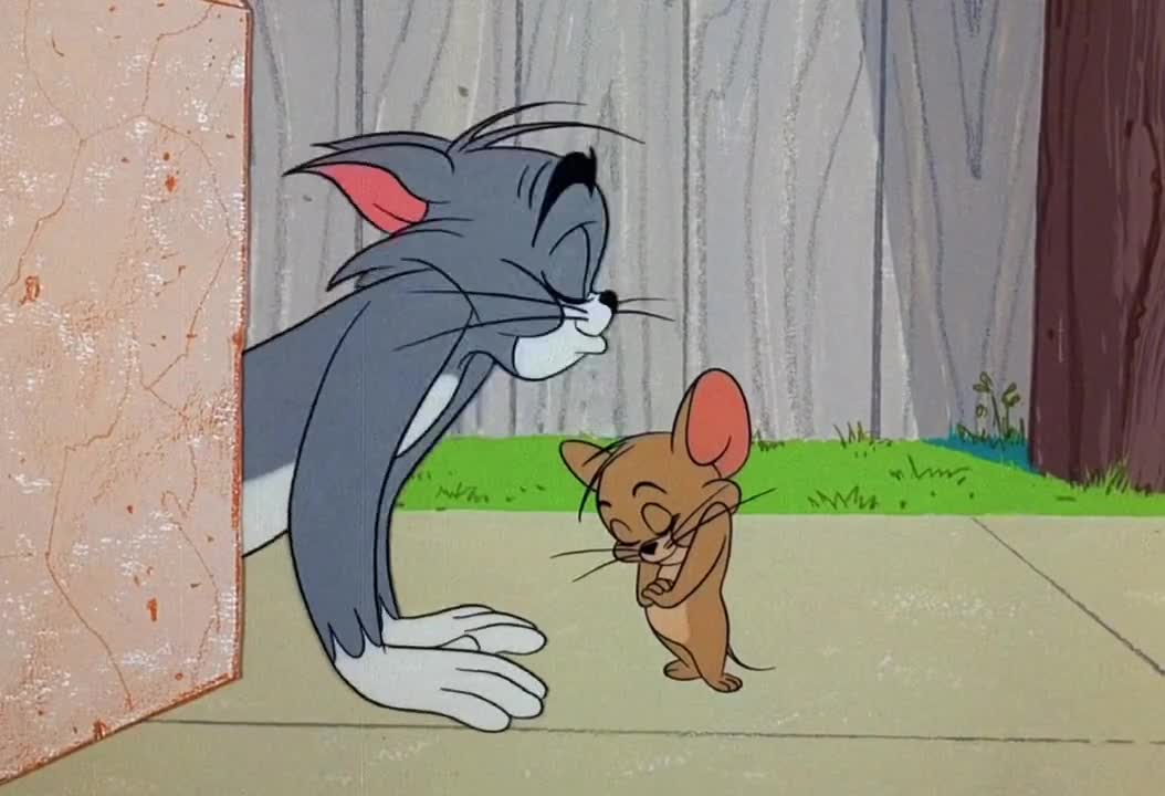 猫和老鼠#愿你心里有爱眼中有光抬头所见皆是柔情