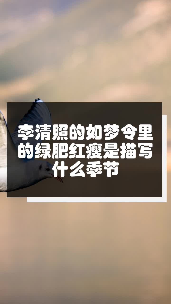 李清照的如梦令里的绿肥红瘦是描写什么季节