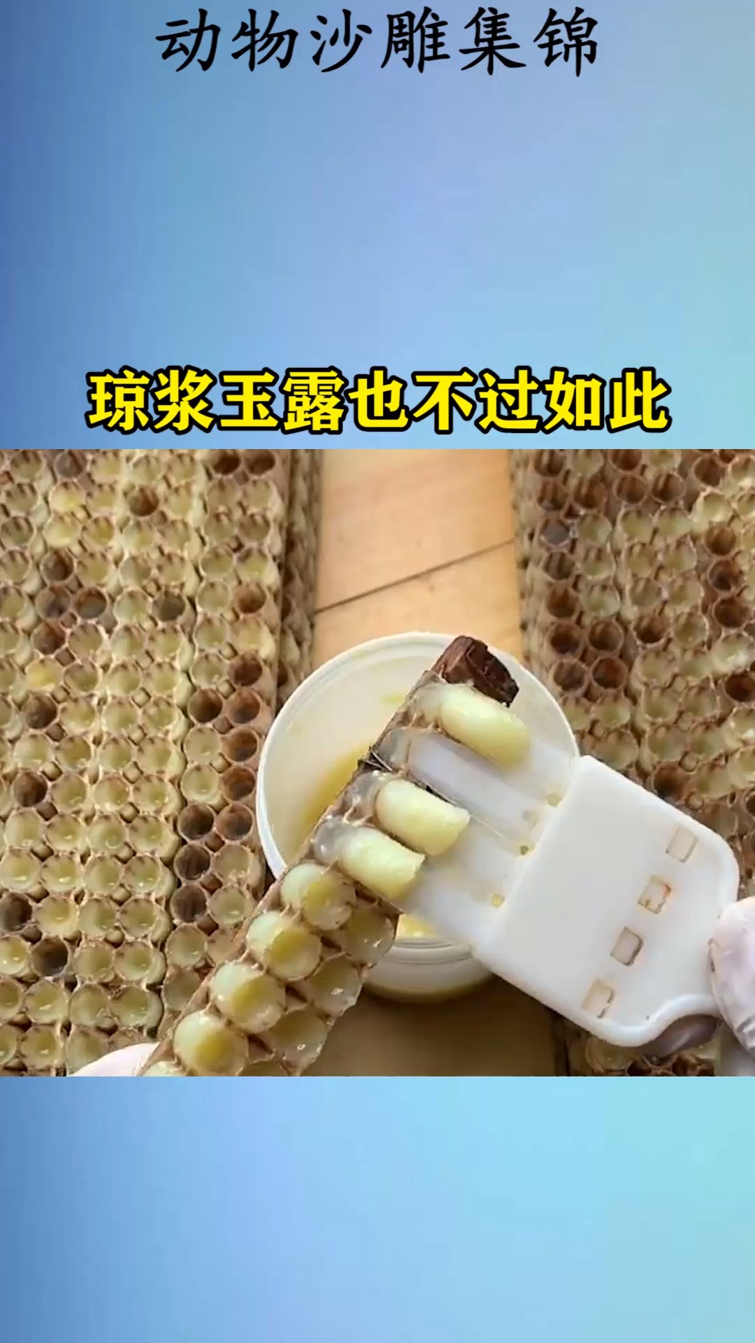 我要上热门#琼浆玉露也不过如此