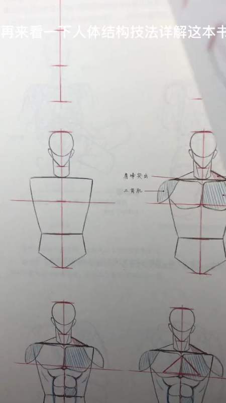 原创动漫绘画教程动漫人物侧身教程