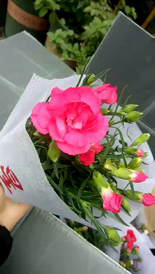 美丽的花花,心情也哈哈