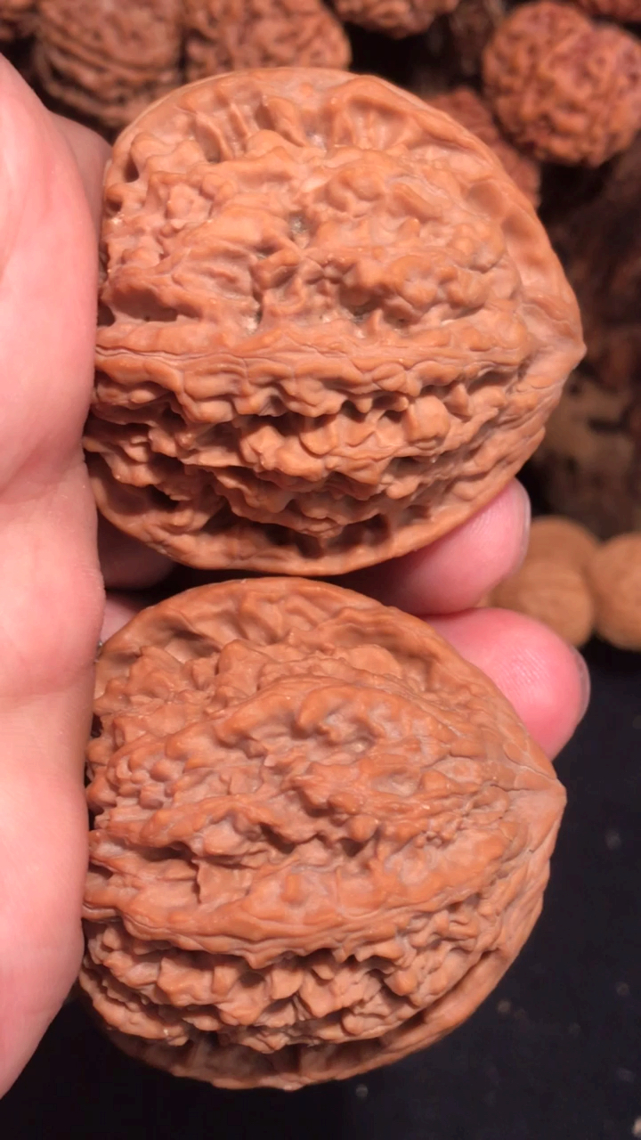 文玩核桃,野生龙脊