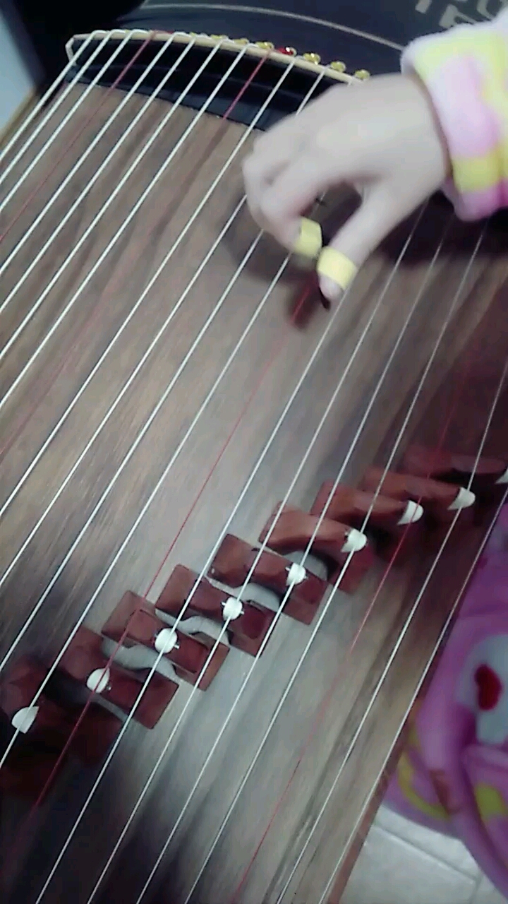 小星星~古筝曲3
