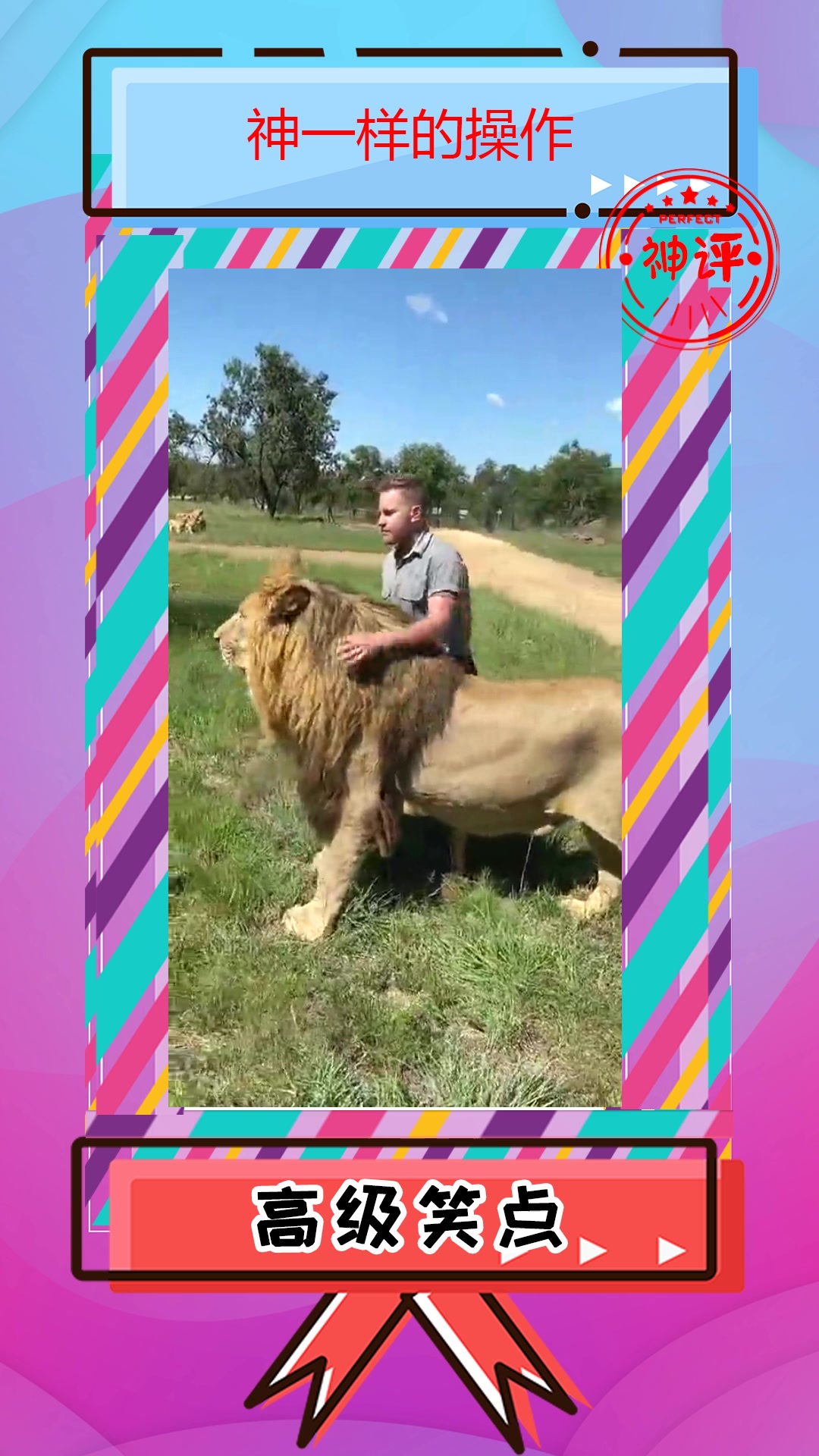 搞笑#迪拜王子真会玩,养这种宠物,得花多少钱!