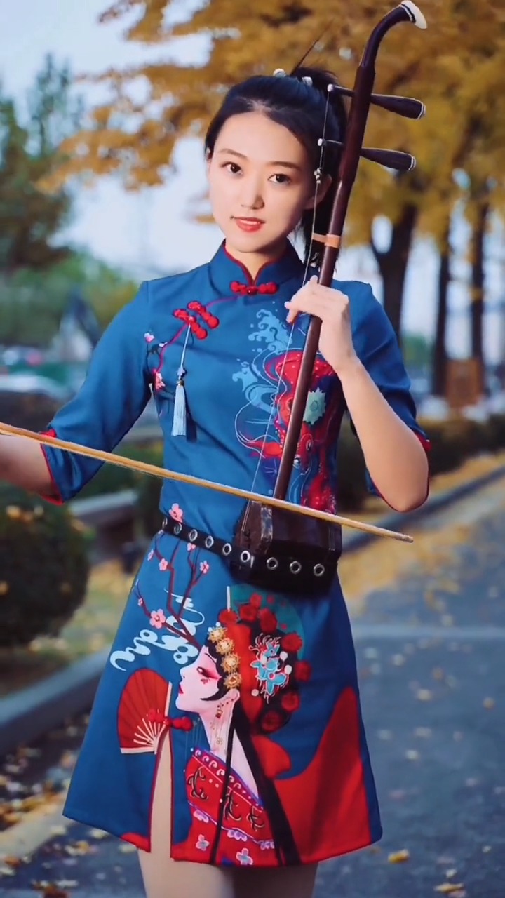 古典中国风#国风古韵民乐艺术欣赏,二胡拉奏《女人花》,传承弘扬民乐