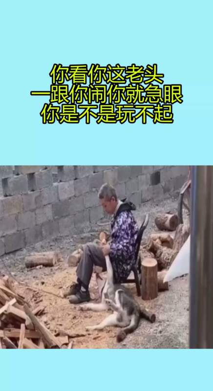 我要上热门#你看你这老头,一跟你闹你就急眼,你是不是玩不起