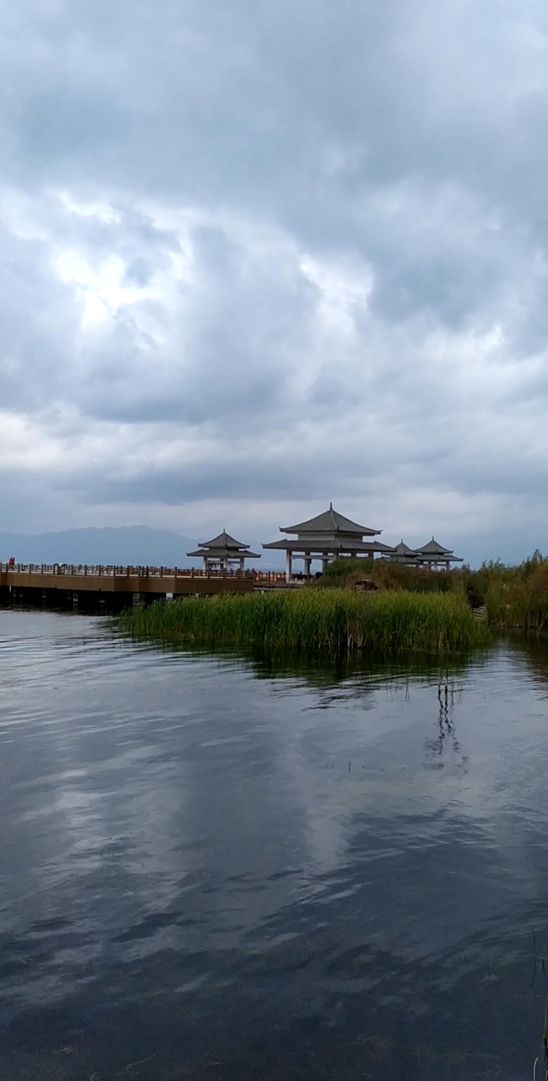 秋游#云南澄江抚仙湖海口镇