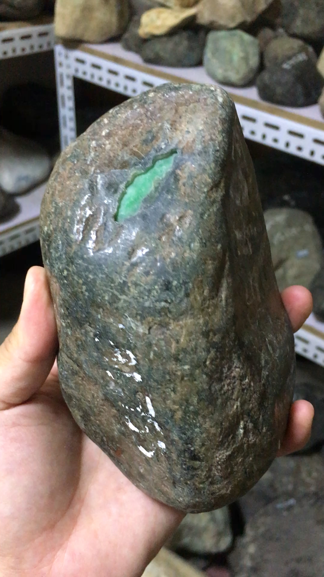 阳绿翡翠原石,有没有认识的.