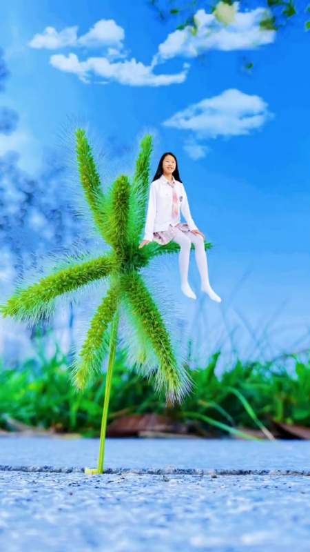 折一棵狗尾巴草这样拍个创意照太好玩了哦