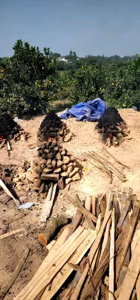 有时间来一个泥窑烤鸡还是很爽的.