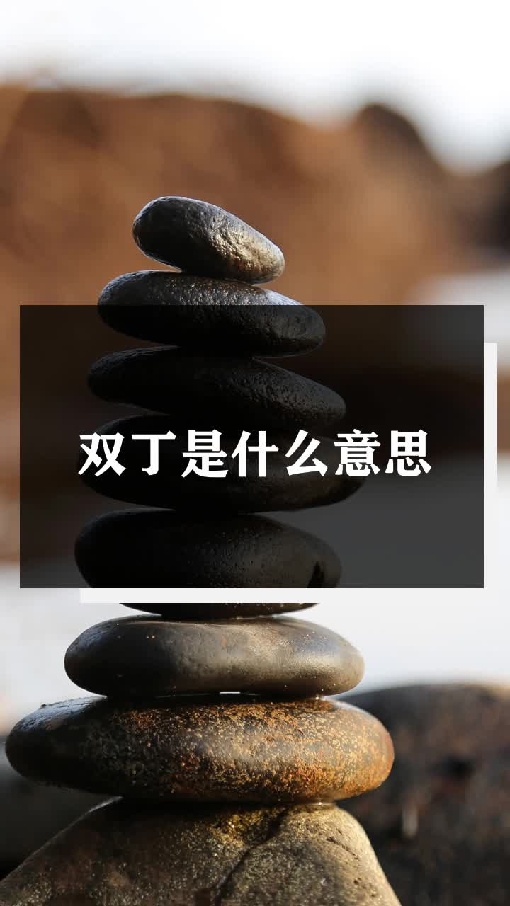 双丁是什么意思