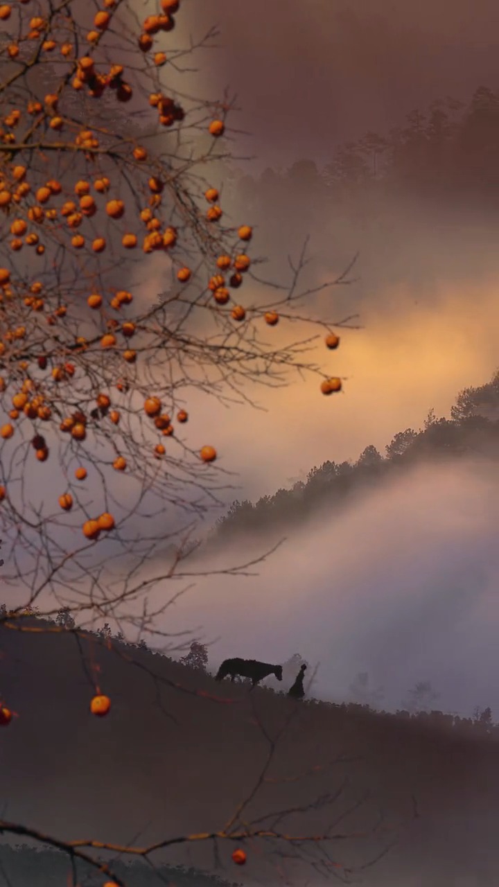 花非花,雾非雾,如是红尘如是渡,独自四顾皆茫茫,何是前行何是路,风景