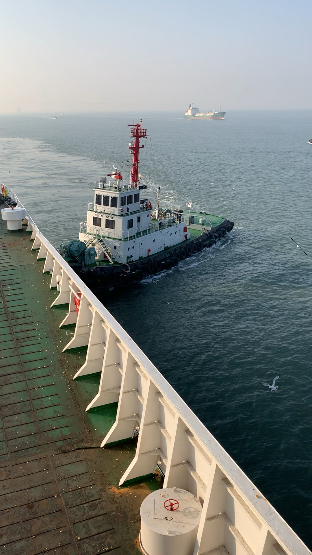 到达韩国.脱船正推我们船靠岸