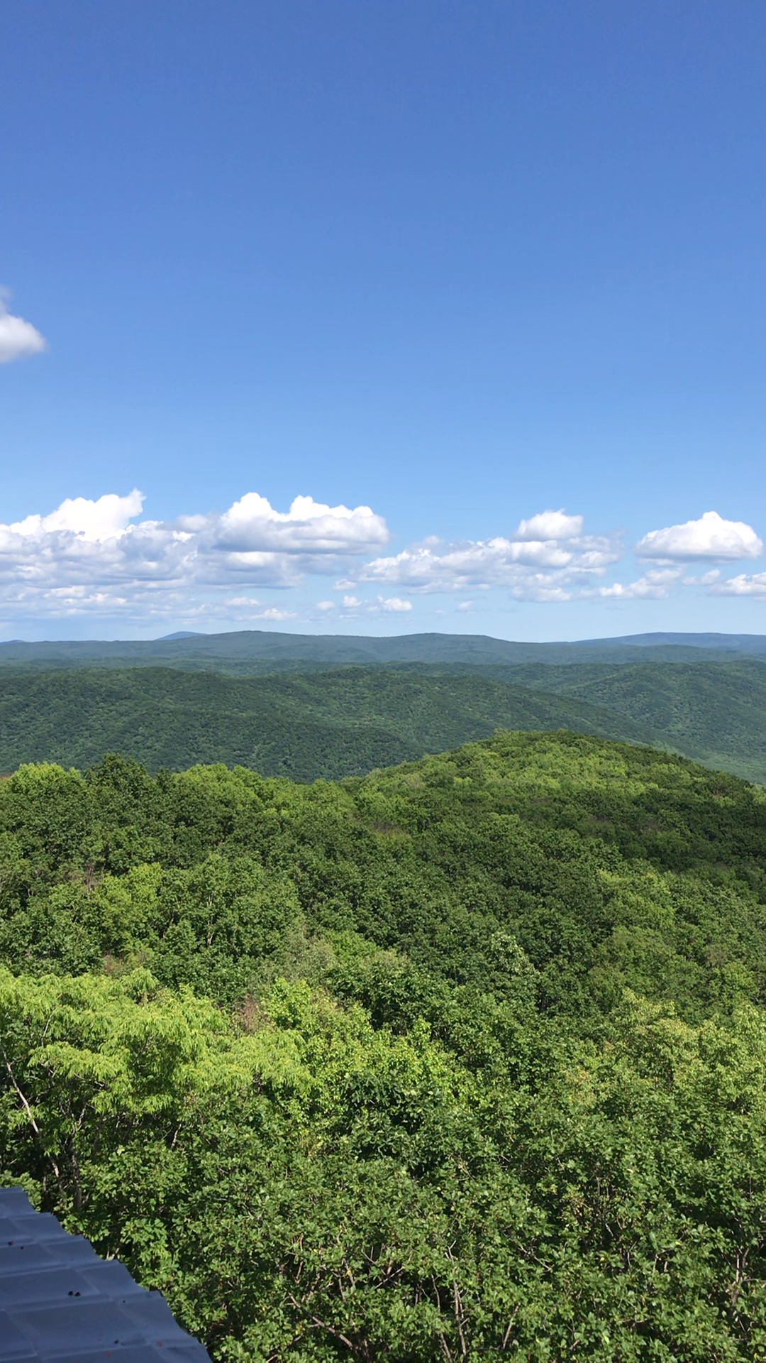 坐落于鹤岗市萝北县的太平沟风景区,位于小兴安岭东麓,北界嘉荫河,一