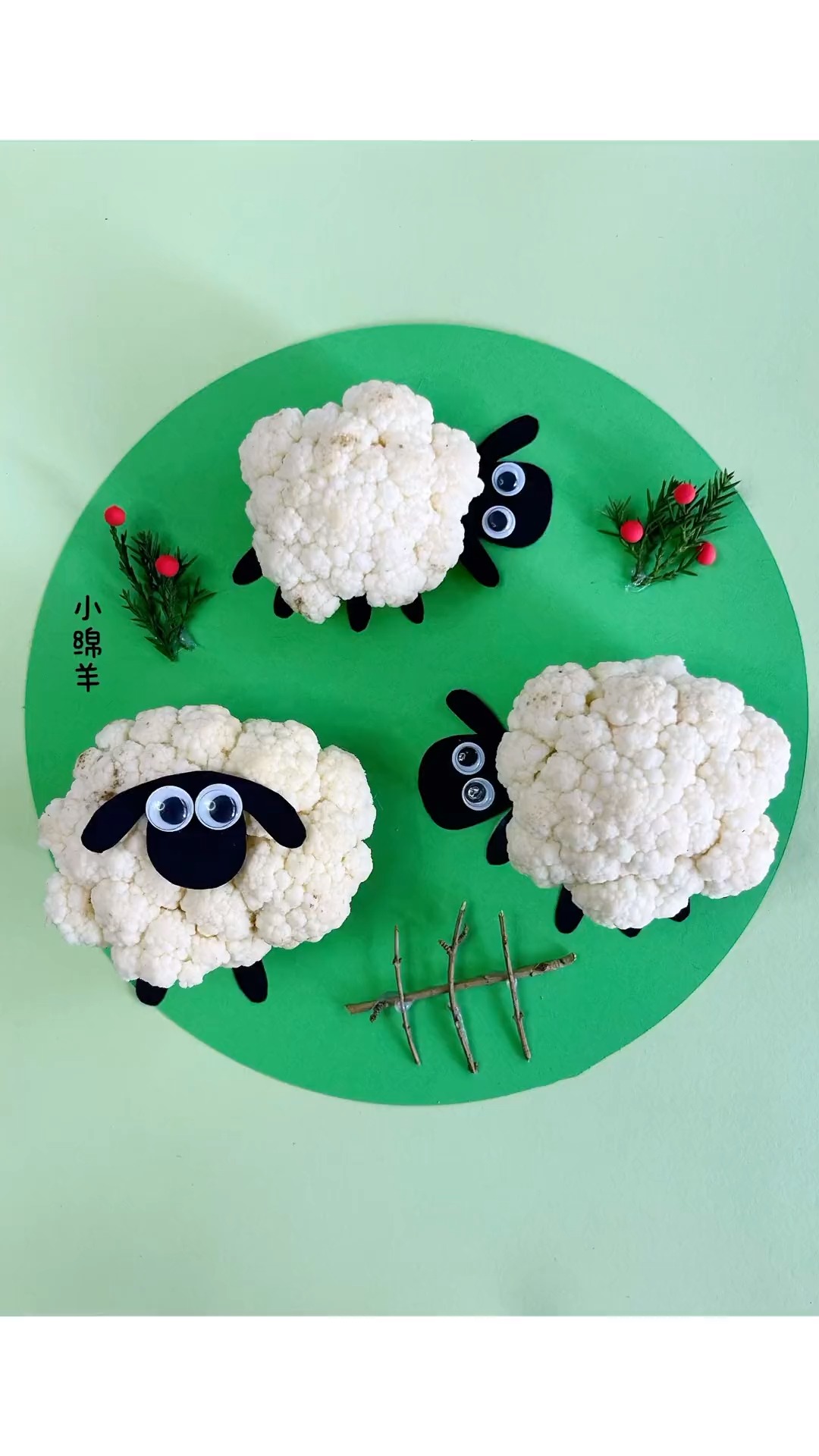 坏了的花菜不要扔,来做有趣的小绵羊吧#亲子手工 #幼儿手工#-度小视