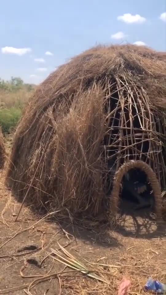 野人部落的房子