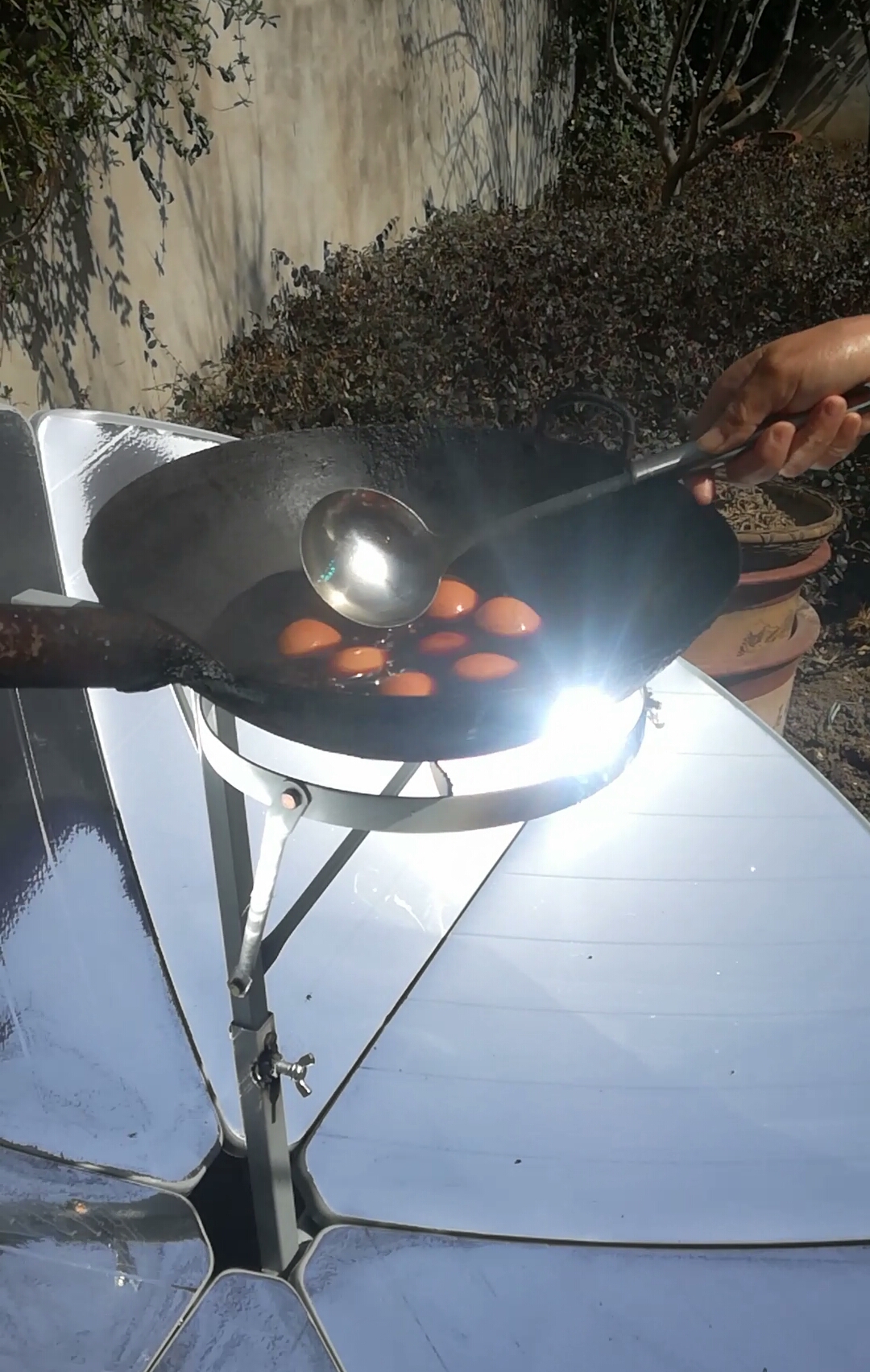 太阳灶煮鸡蛋