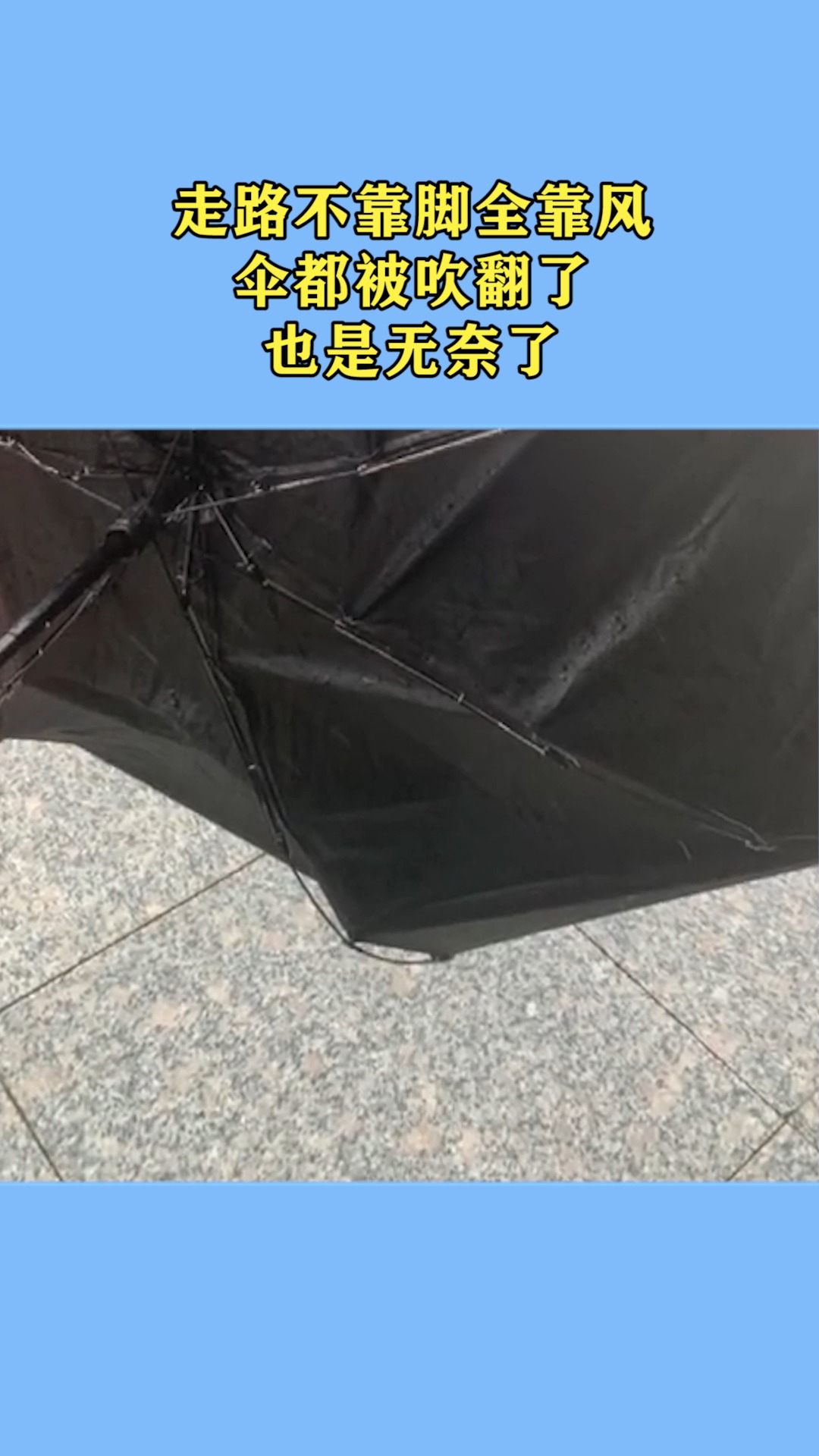 伞被风吹翻图片图片