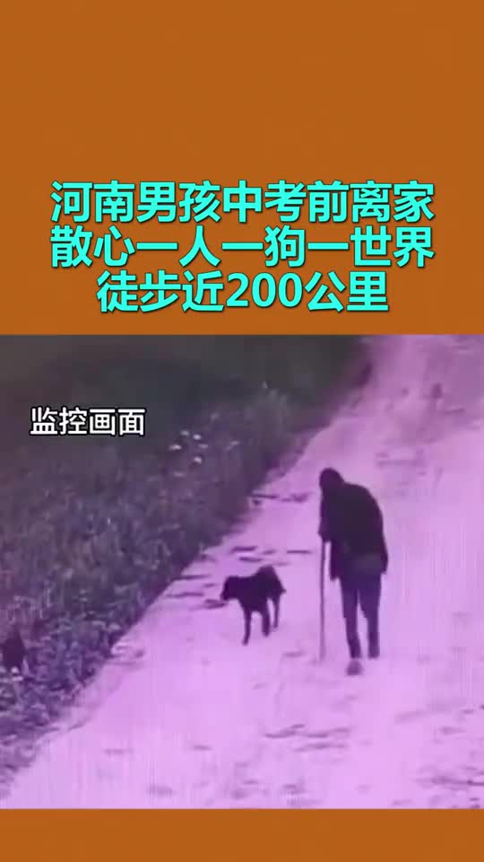 河南男孩中考前离家散心一人一狗一世界徒步近200公里