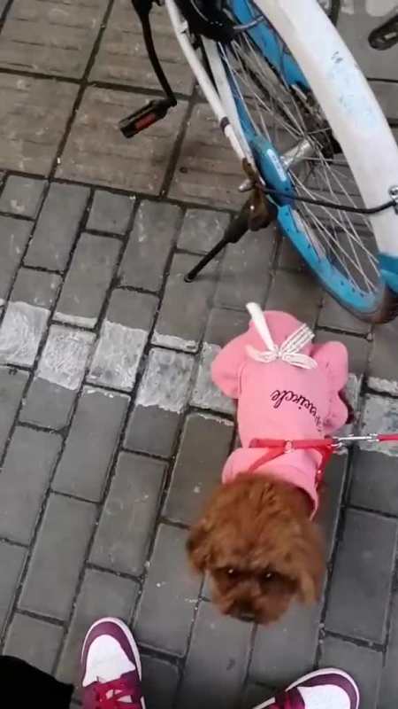 我要上热门#抱抱宝贝后硬是被哥哥拽走第3集