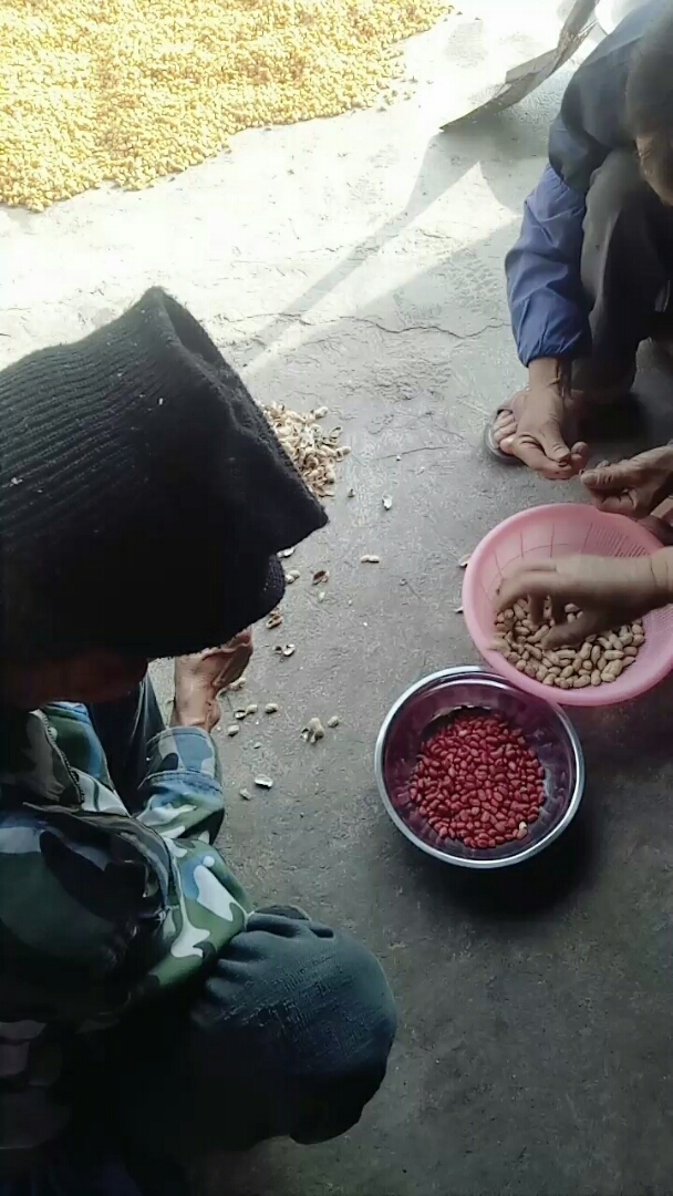 今天自家酿酒,搞点花生来下酒