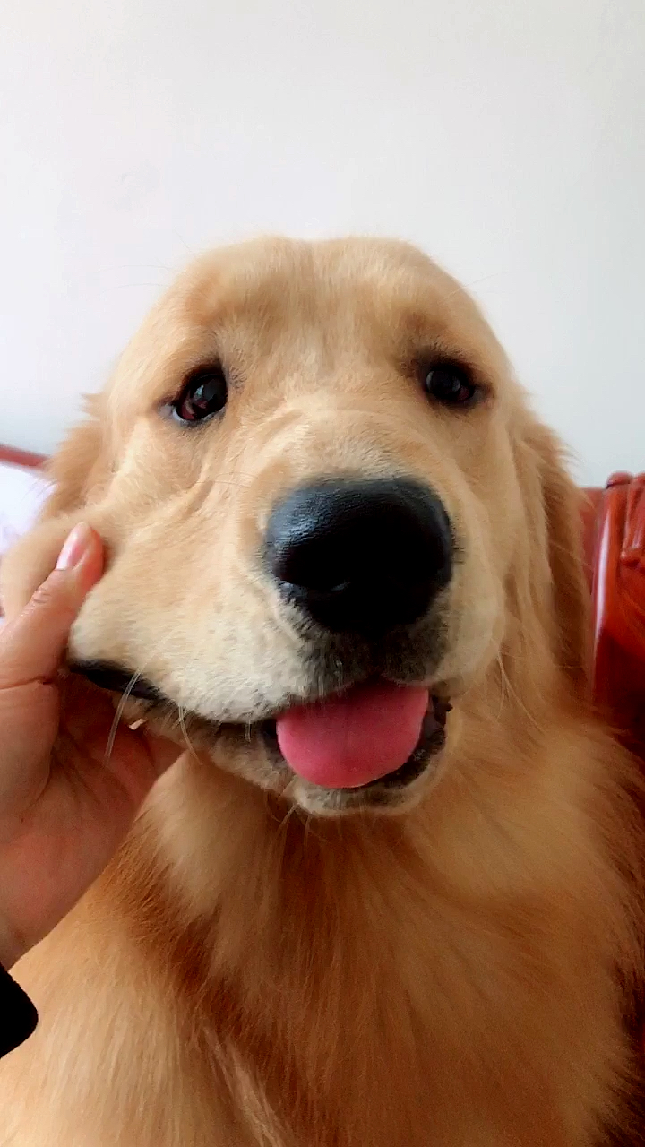 不听话就扯嘴巴子