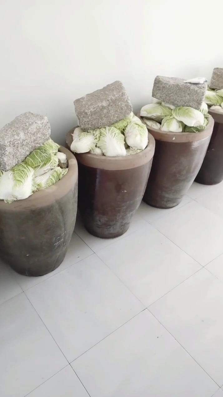 最正宗最好吃的酸菜就是大缸腌制的.