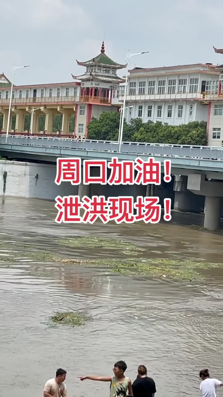 郑州往贾鲁河泄洪沙河颍河贾鲁河三河泄洪到周口周口挺住