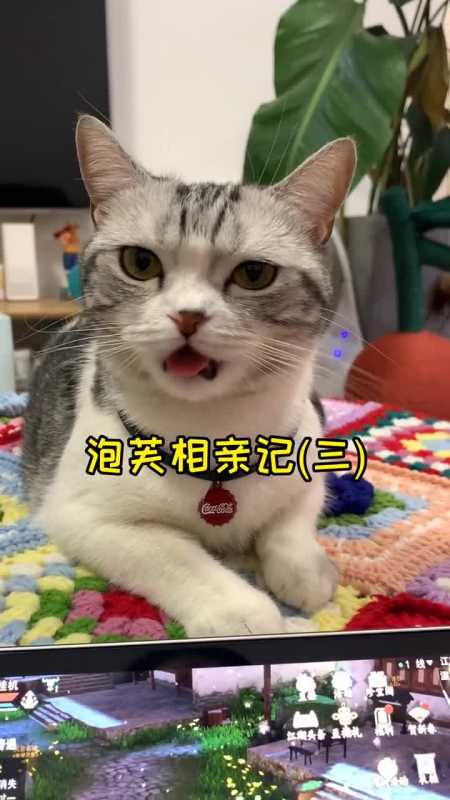 这是泡芙第二次见到安生了关系好像缓和了一丢丢-度小视