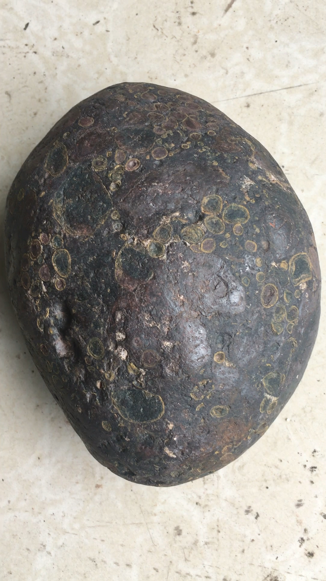 这颗五彩球粒陨石火眼金睛重6.1斤!弱磁