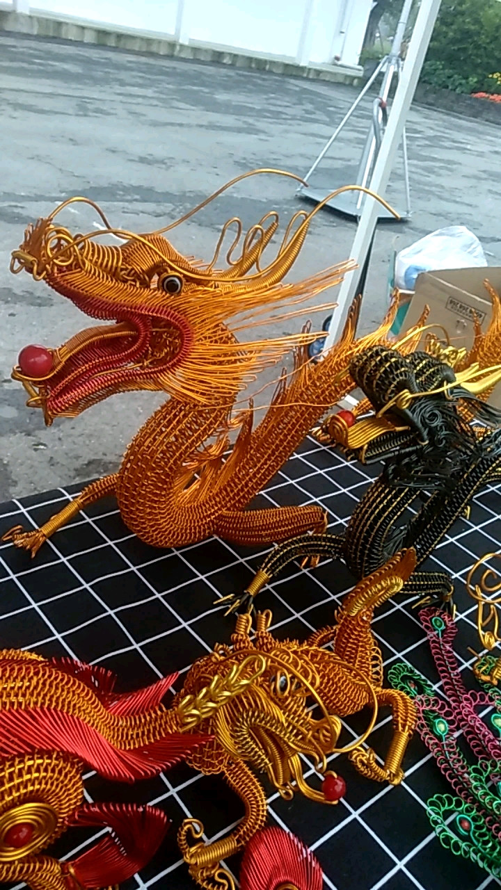 秋日穿搭#大金龙