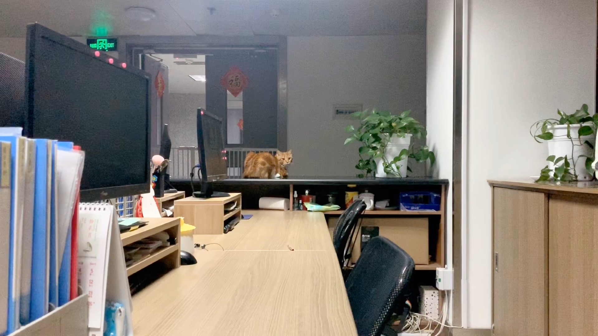 办公室就剩下自己一个人加班到很晚,还好有这位同事陪伴