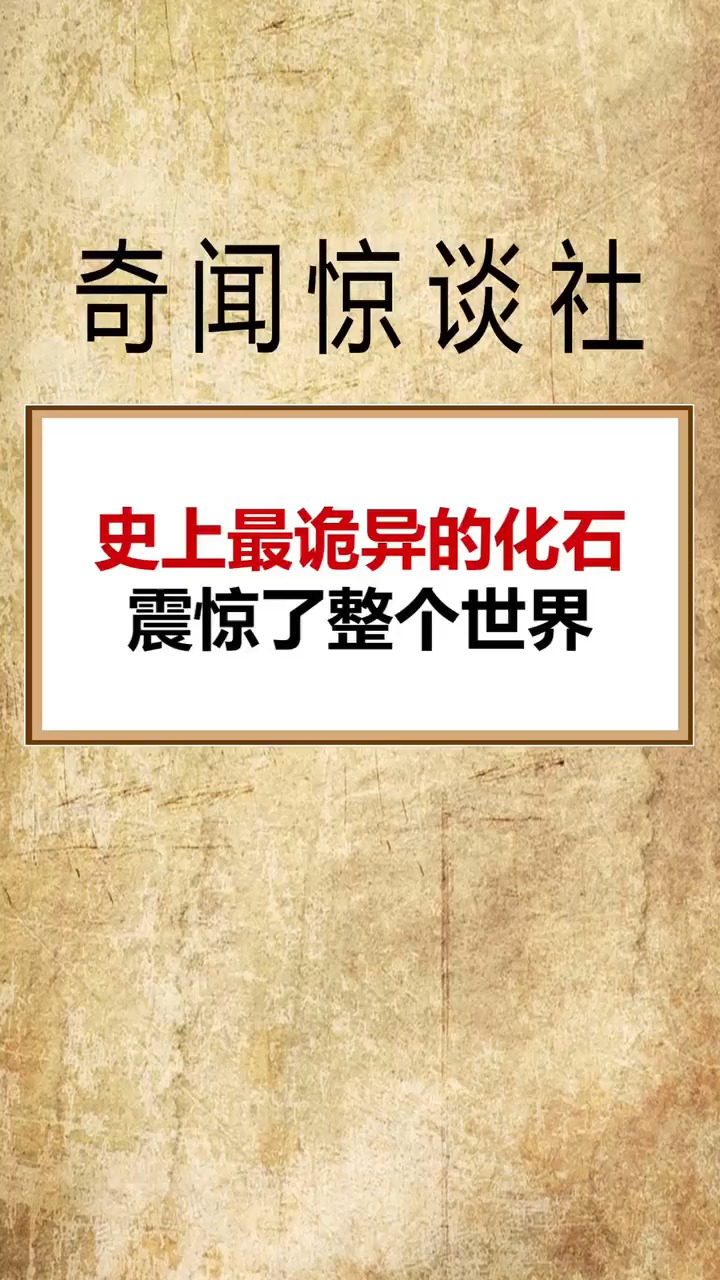 奇闻趣事抢先看#史上最诡异的化石,震惊了整个世界