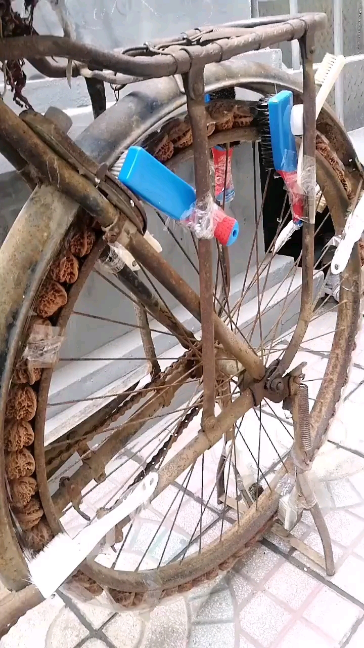 二八大杠车派上新用场