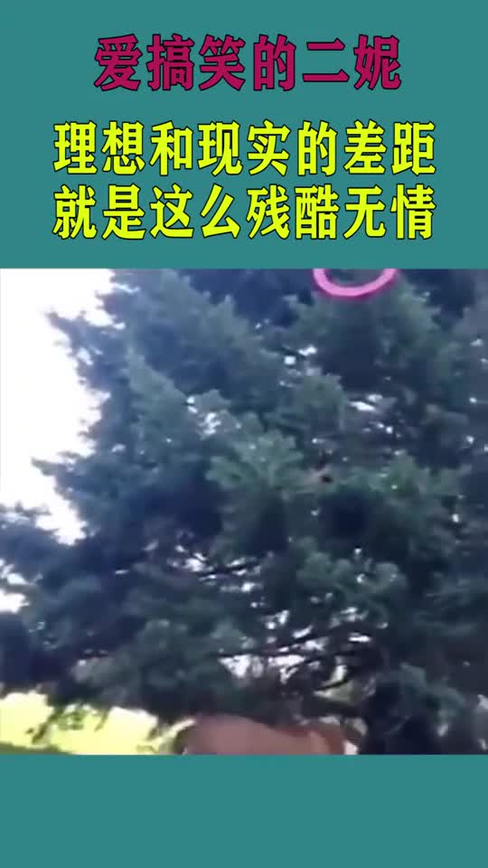 理想与现实的差距,就是这么残酷无情