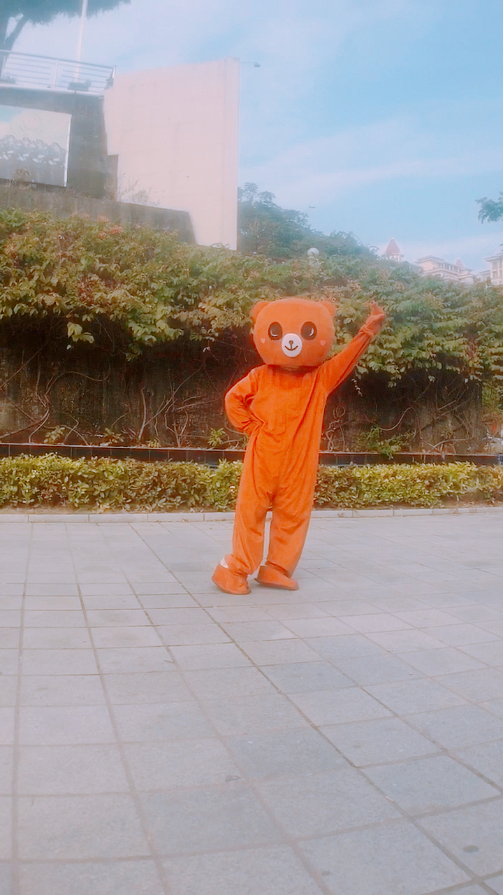 网红熊#网红熊跳舞