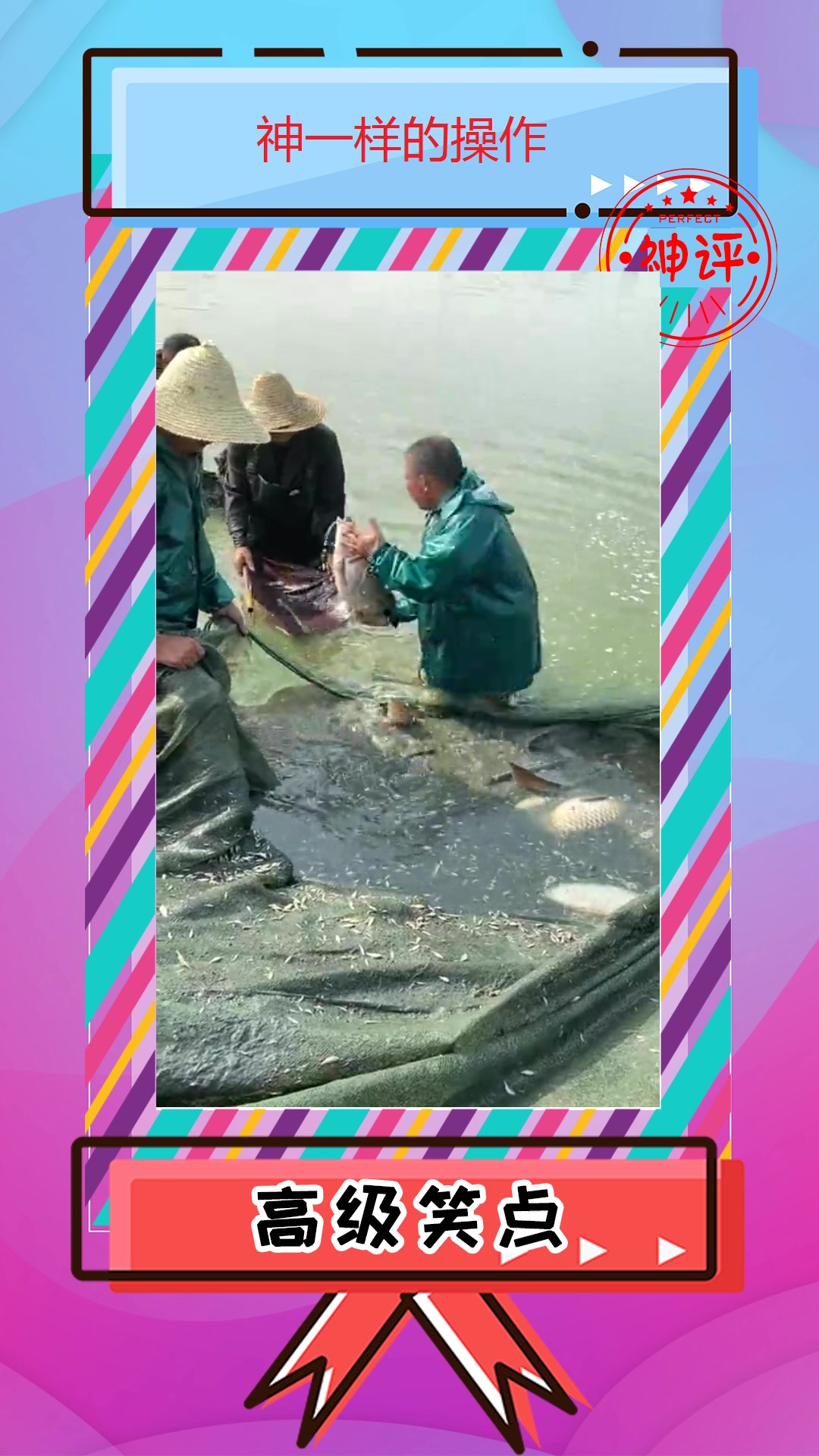 搞笑#大爷从渔网捞出一条鱼,得有半个人那么高,可以大吃一顿了!