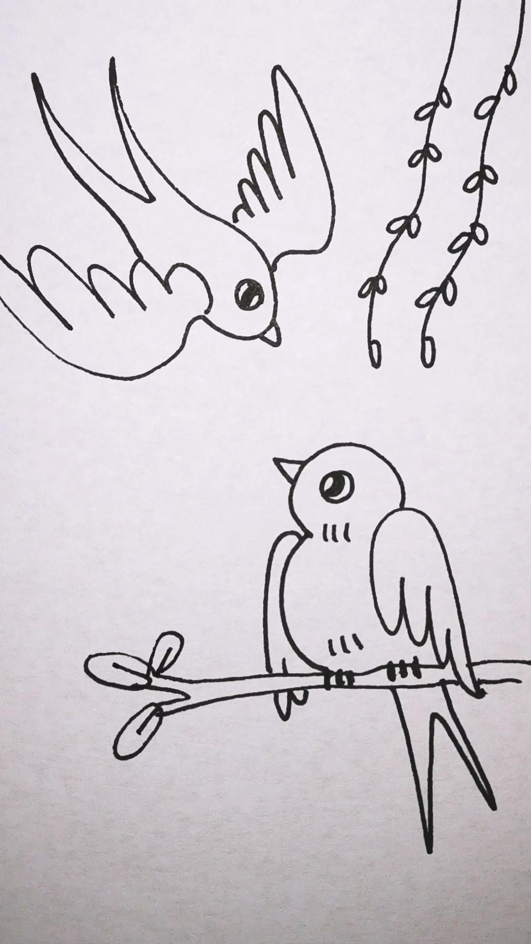 简笔画#简笔画|枝头燕子!