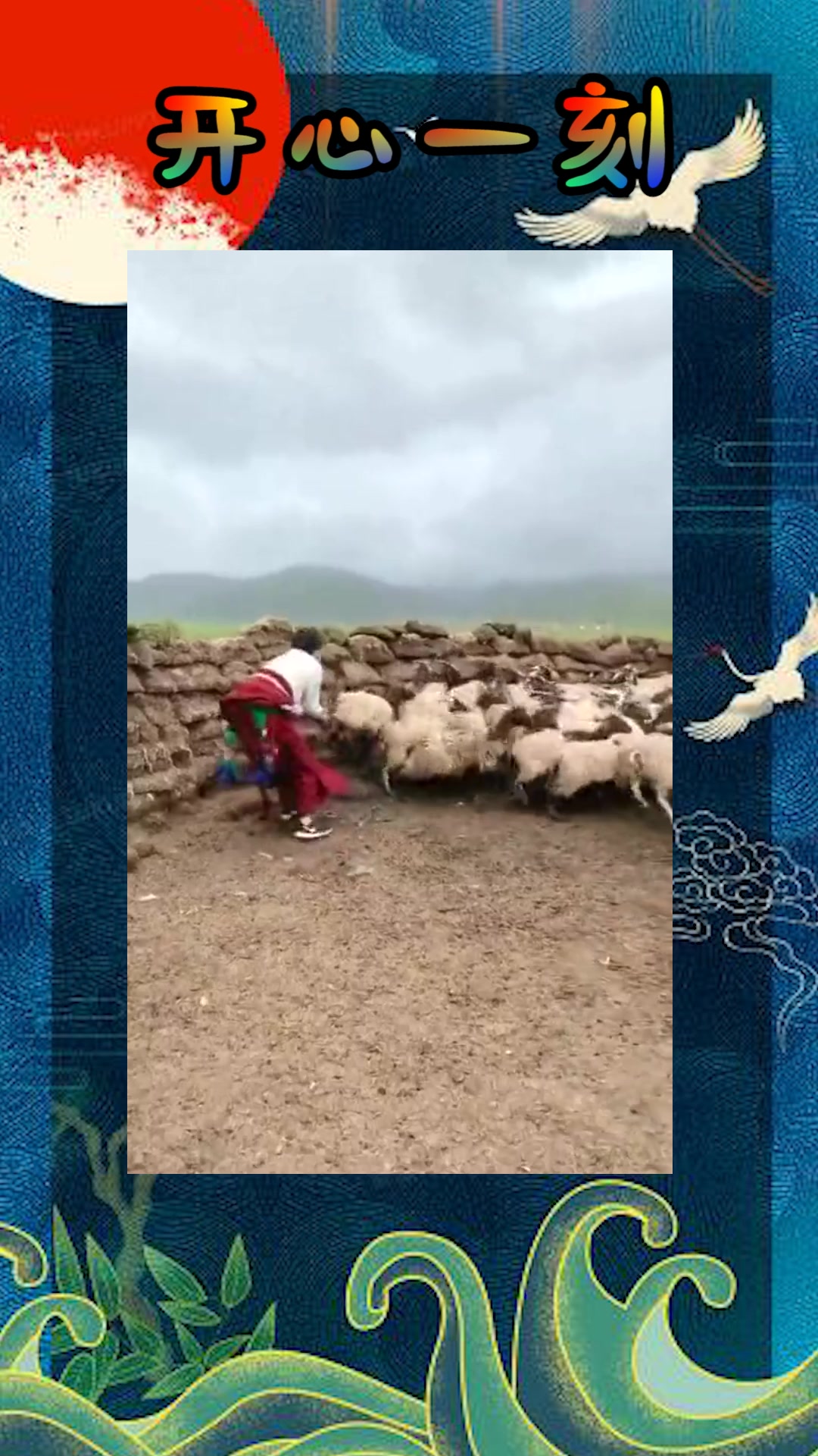 女汉子骑羊走红网络图片