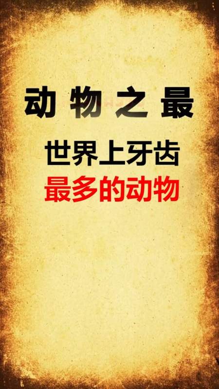 世界上牙齿最多的动物,你知道吗?