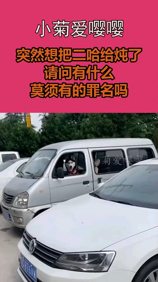突然想把二哈给炖了请问有什么莫须有的罪名吗