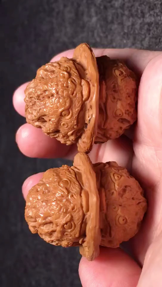 文玩核桃#这大金蟾