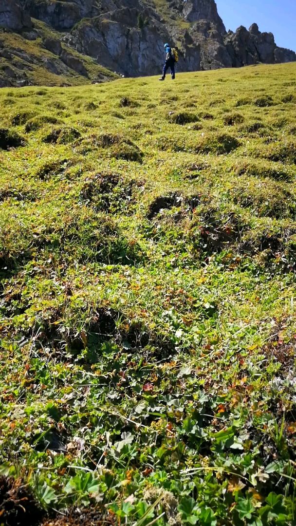 山顶土包蛮可爱!