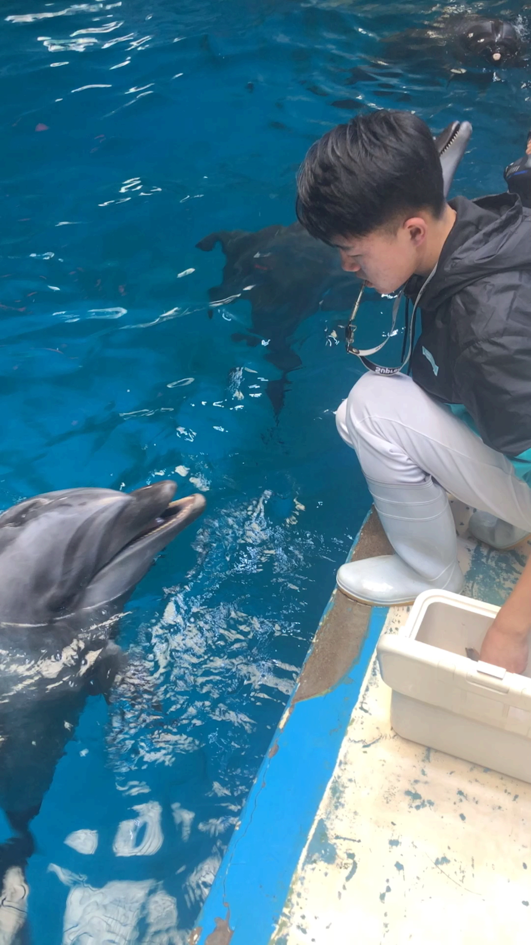 你喜欢的样子我都有#喂小海豚吃饭