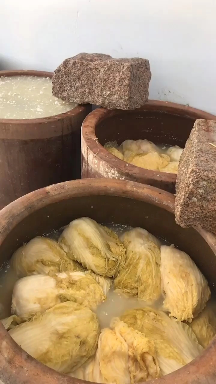 东北酸菜#正宗东北大缸腌制酸菜.